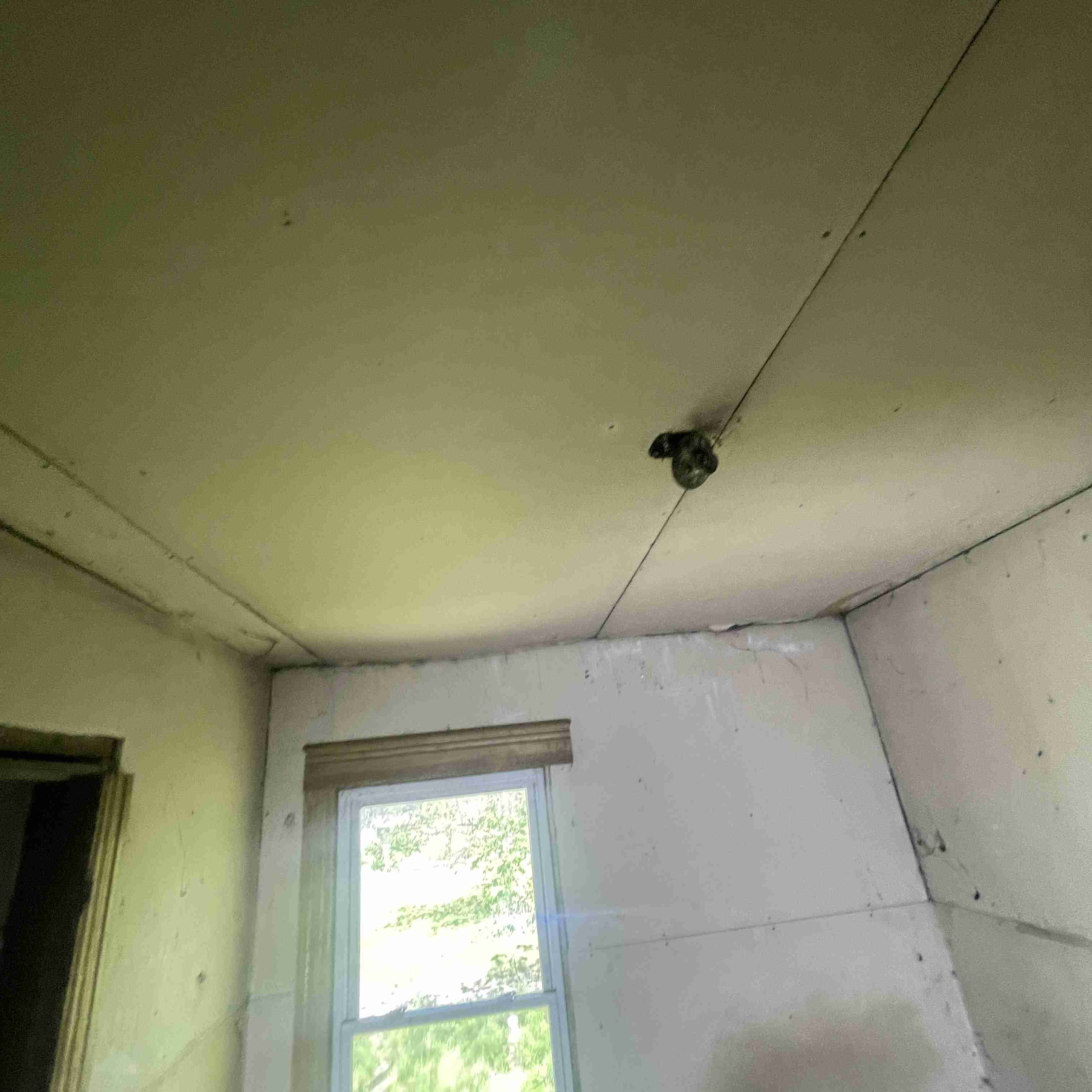 67 Englewood (72).jpg